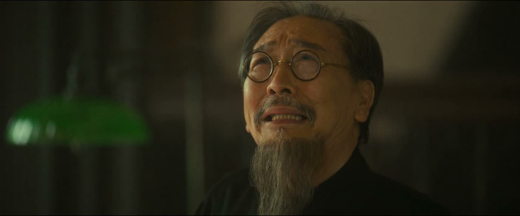 以身殉国而死