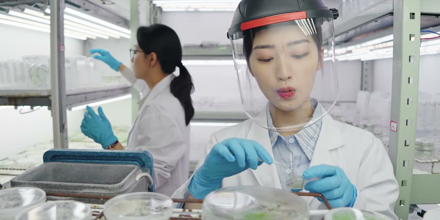 培育国产新种远比赚钱更有意义