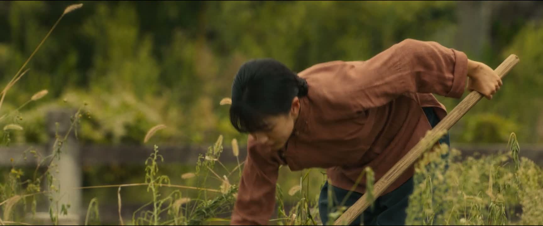 淹不死的白菜 旱不死的葱