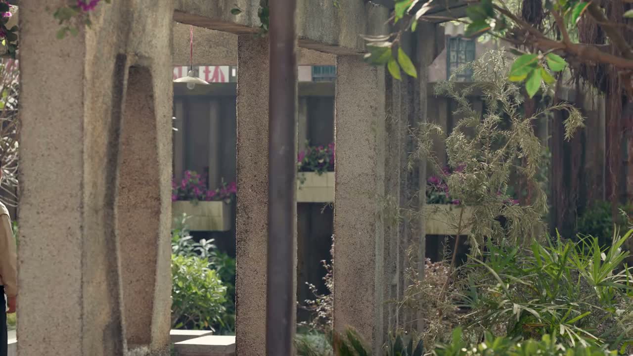 书记 你就把她弄走吧