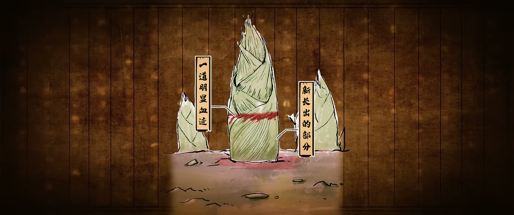 是案发后新长出来的