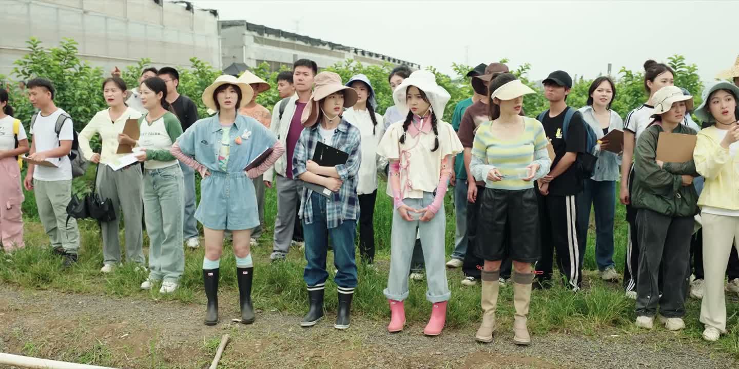 昨天的虫子是来报恩的