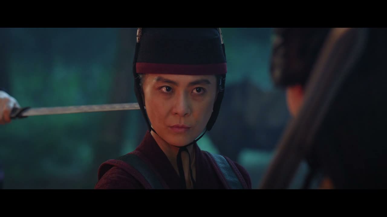 卫将军楚岺向来所向披靡