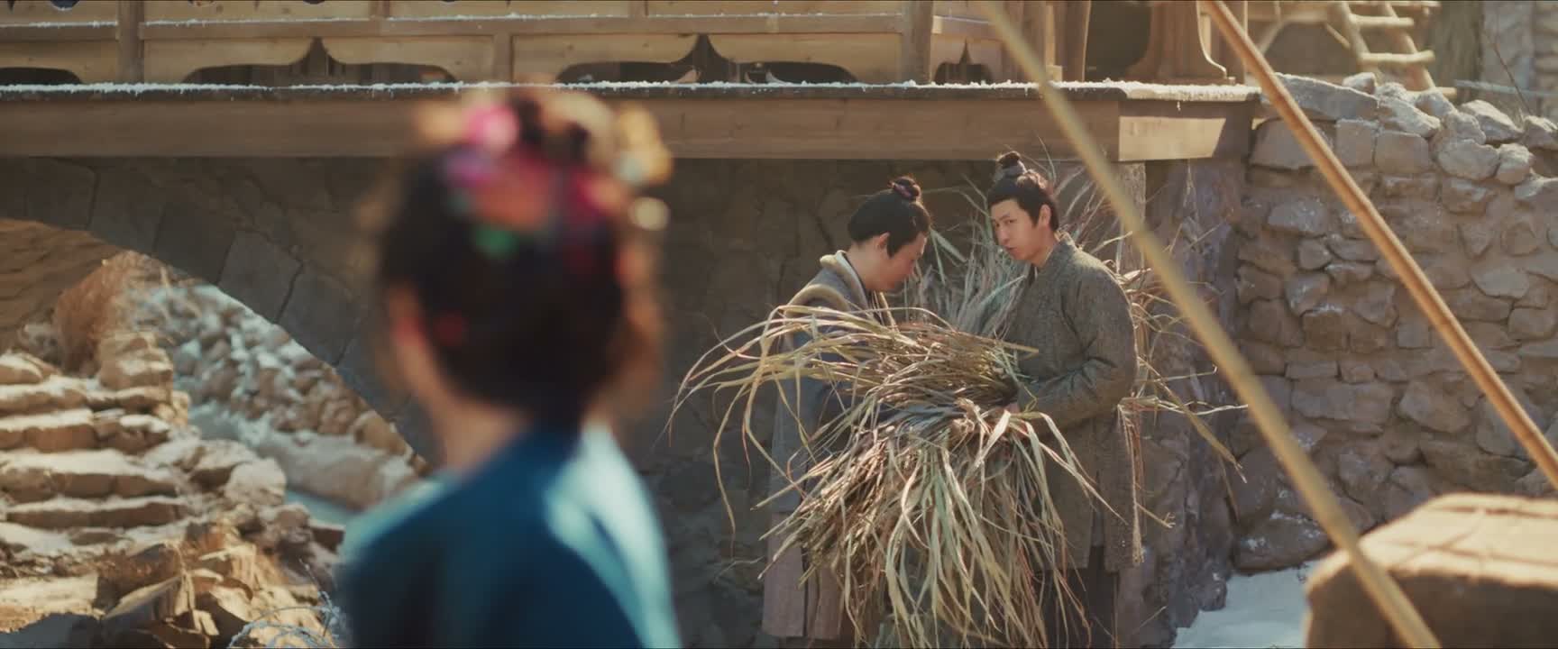 我得找点干艾草的叶子