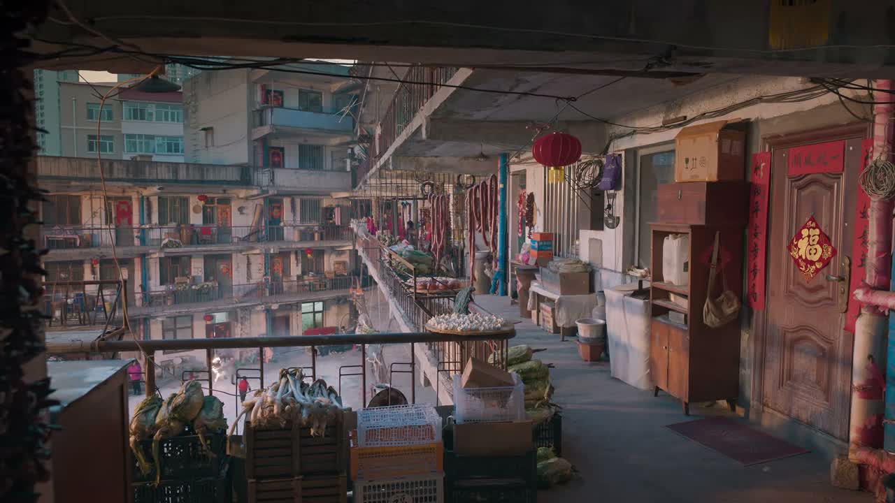 哎呦我天 这小鱼