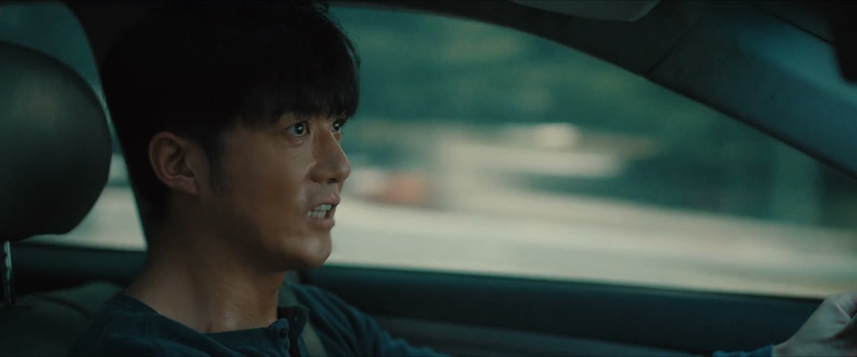 我们的良心已经让狗吃了