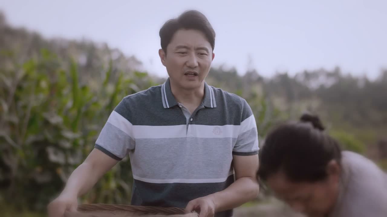 我来真的不是 来为了要钱的