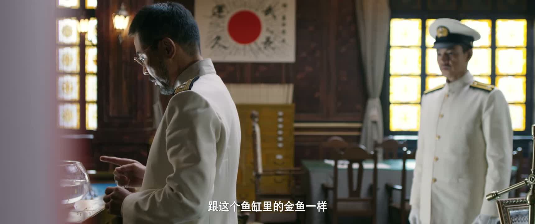 跟这个鱼缸里的金鱼一样