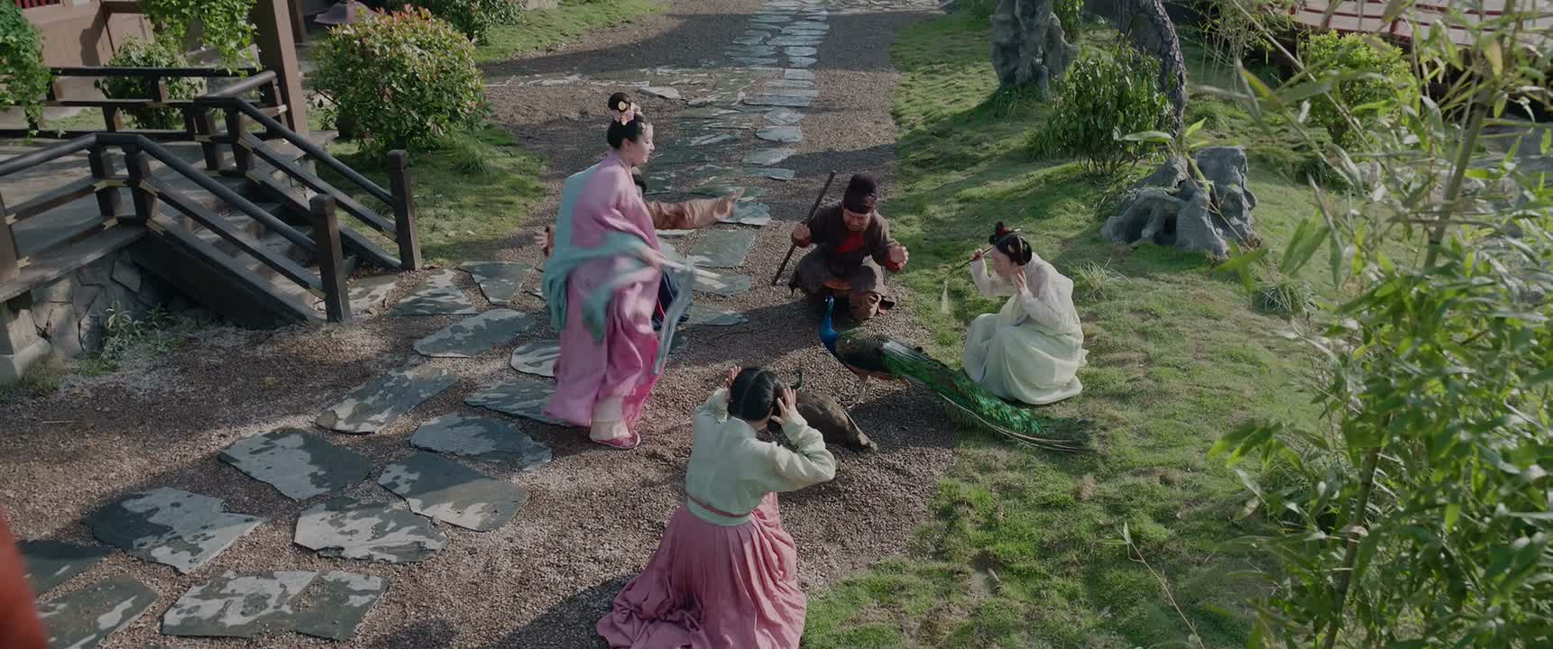 它们再不飞 我就让你们飞
