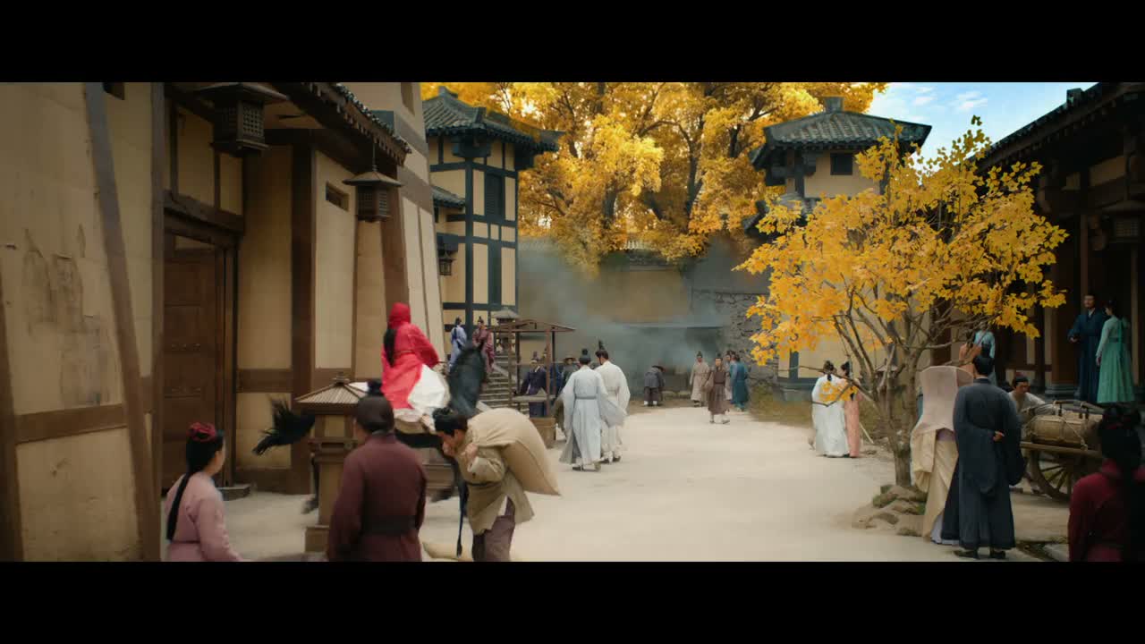 别跑 站住 我的马