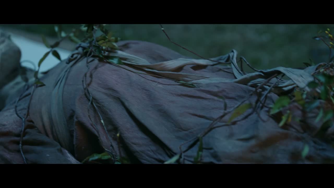 怕不是鬼魅的“魅”吧
