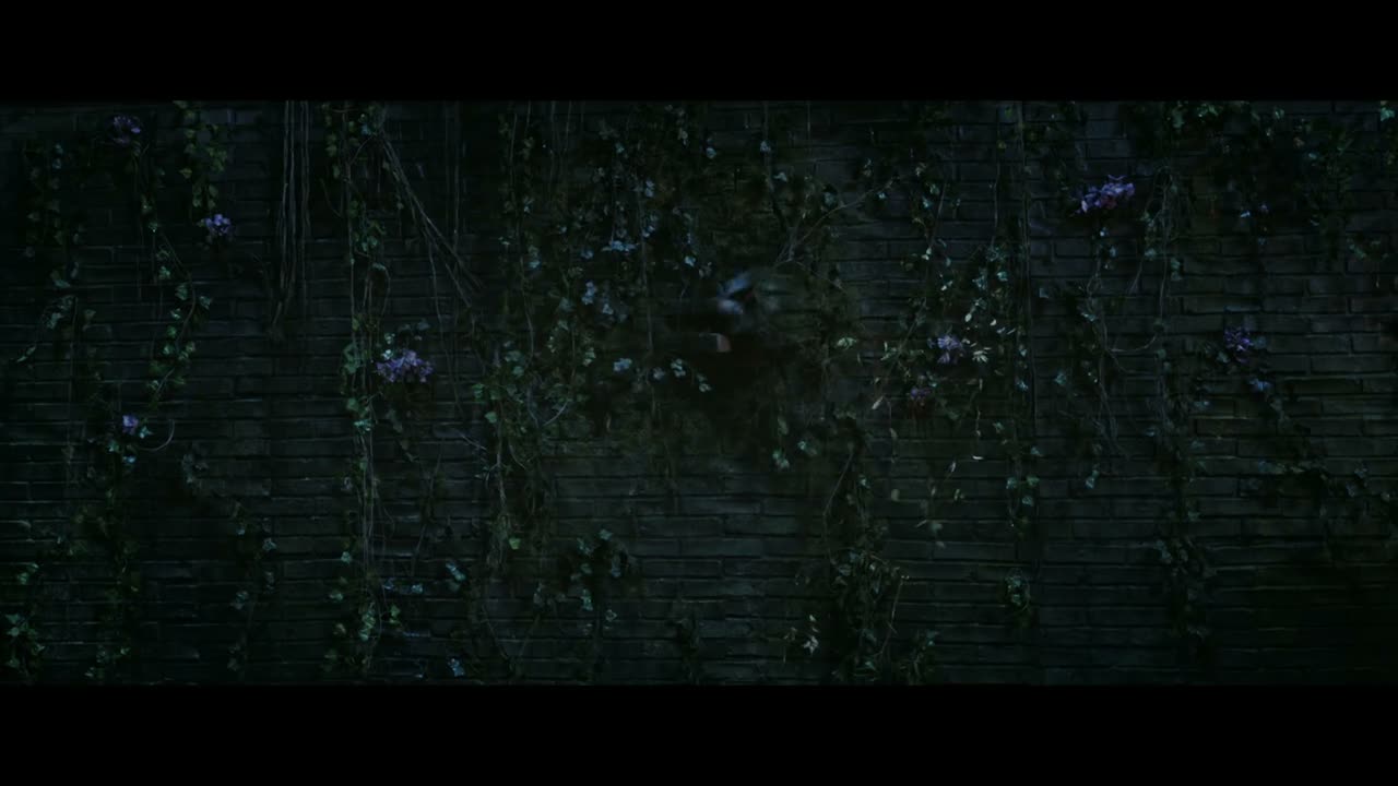 墙…墙里有东西