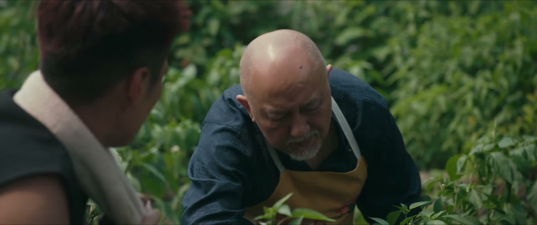 就是做事毛糙点