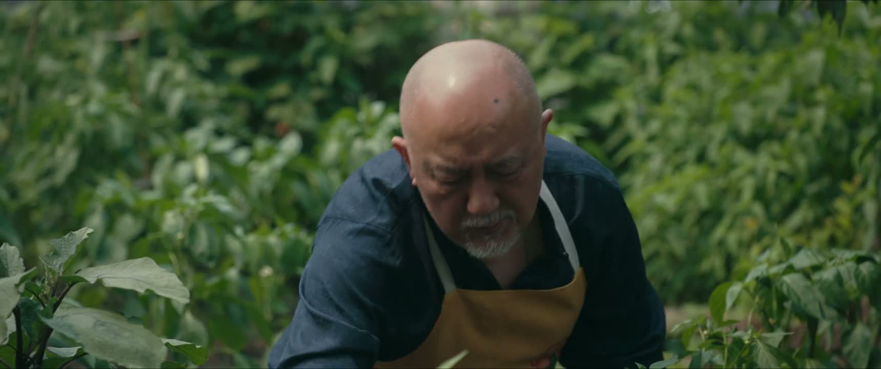 叔知道你是好孩子
