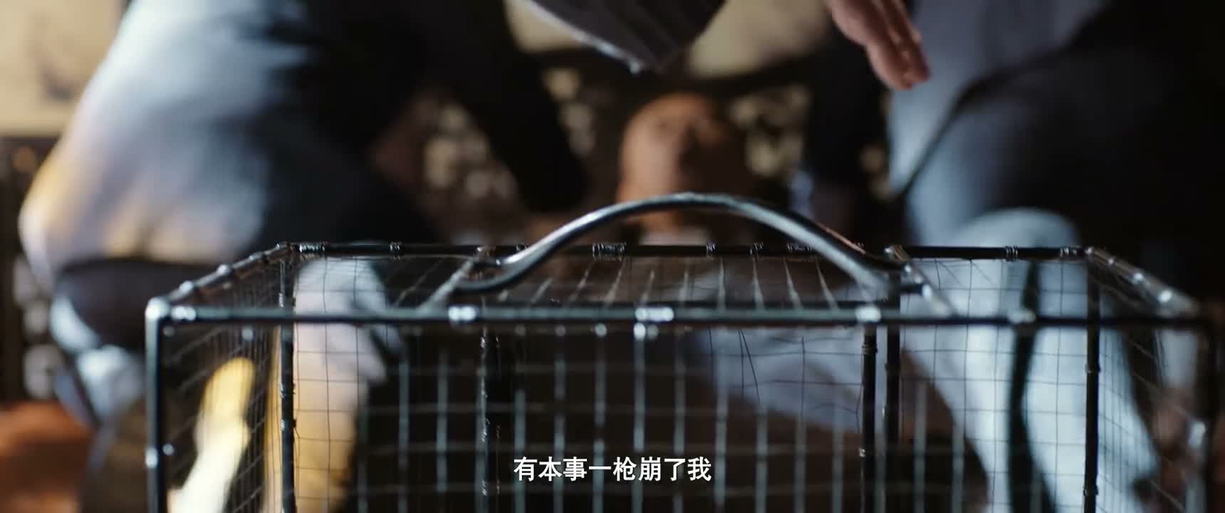 有本事一枪崩了我