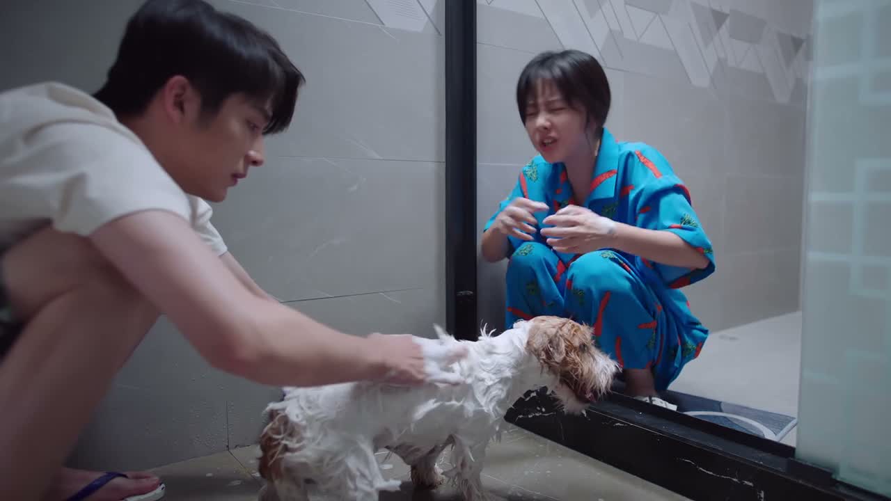 很容易就吧唧就碎了