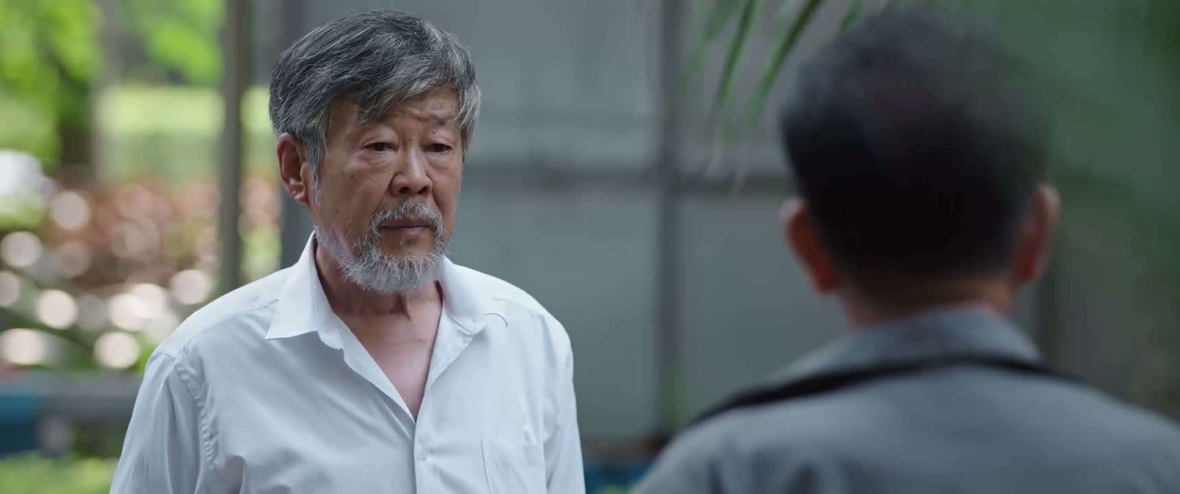 每天晚上我在这儿遛狗