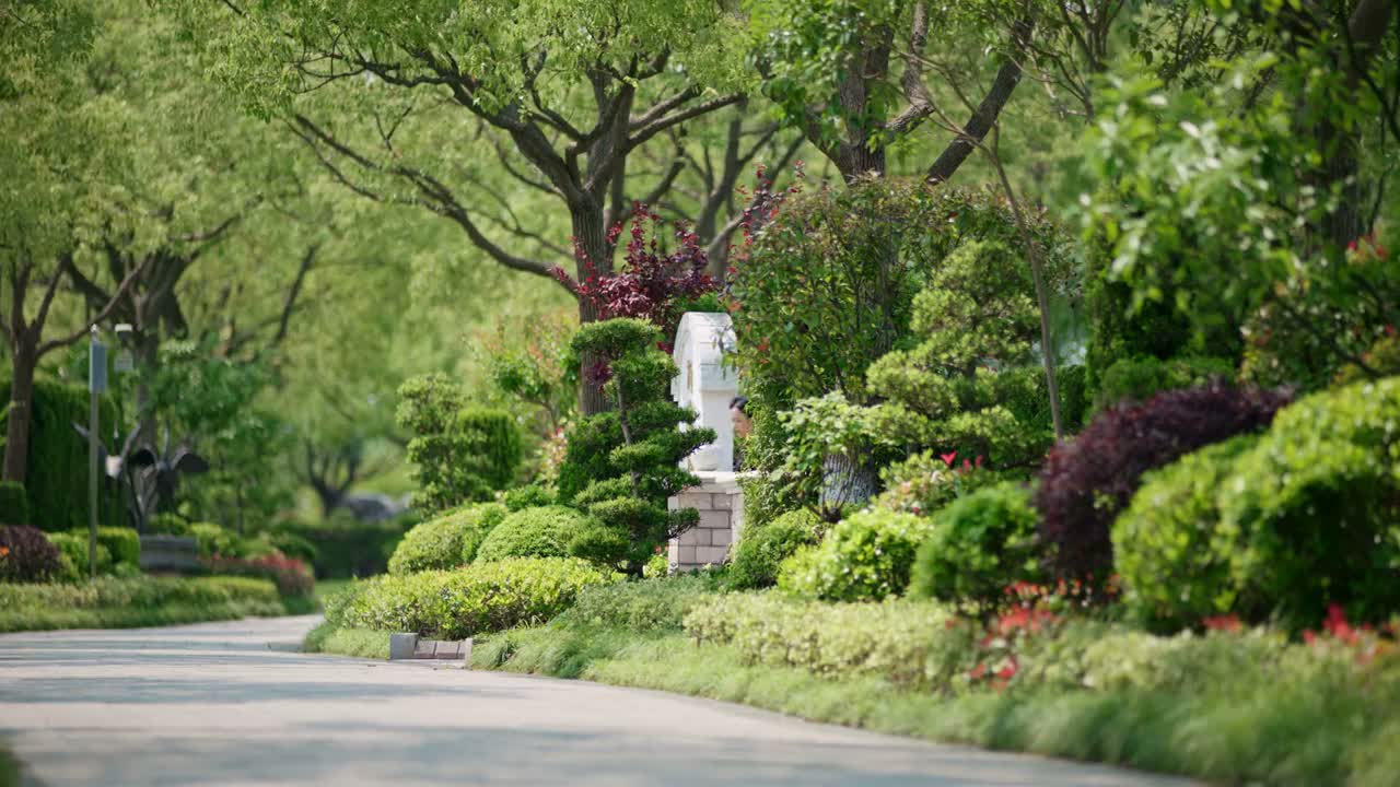 我已经提了离婚申请