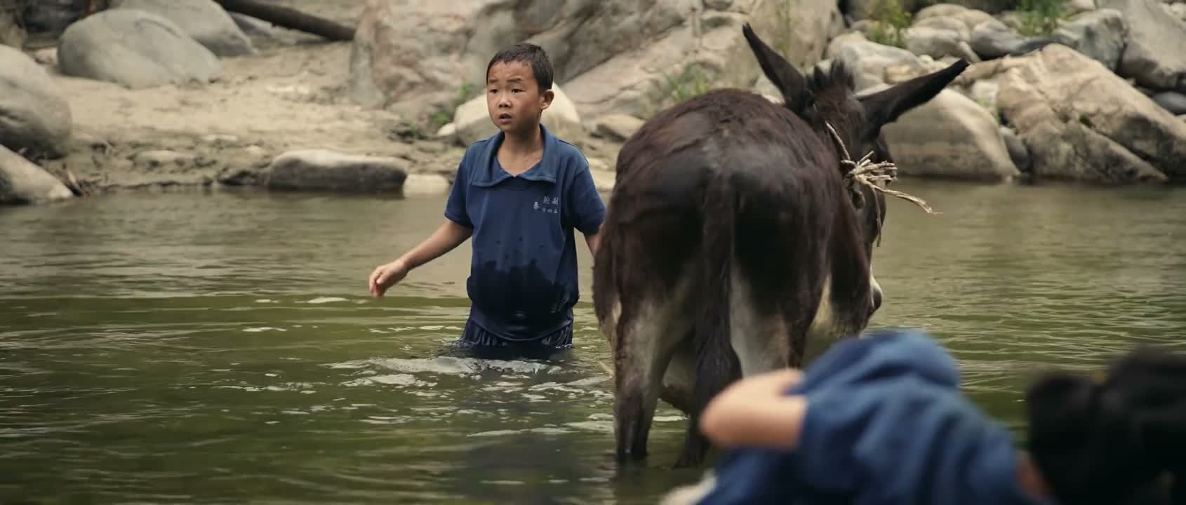 举起手来 缴枪不杀