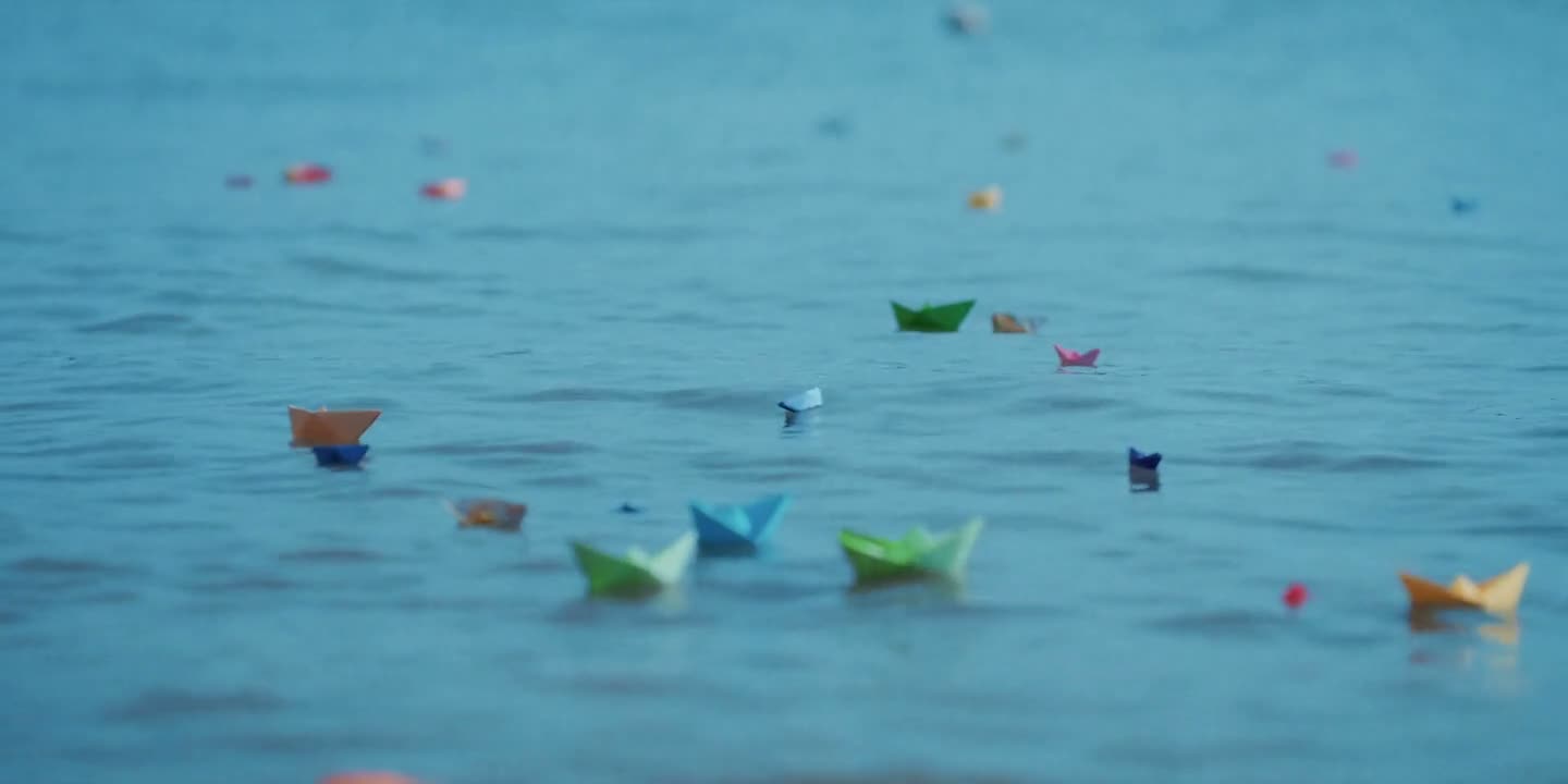 跟小海豚打招呼啊