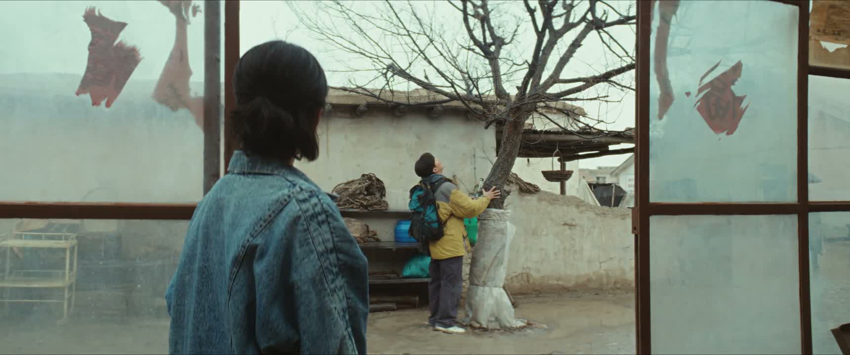 谁又来我们家看树了