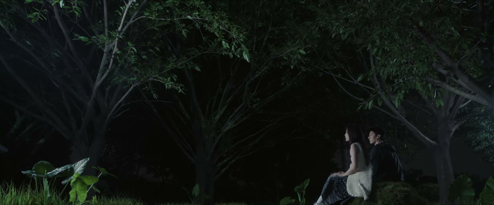 等了半天 半只萤火虫的影子都没有找到