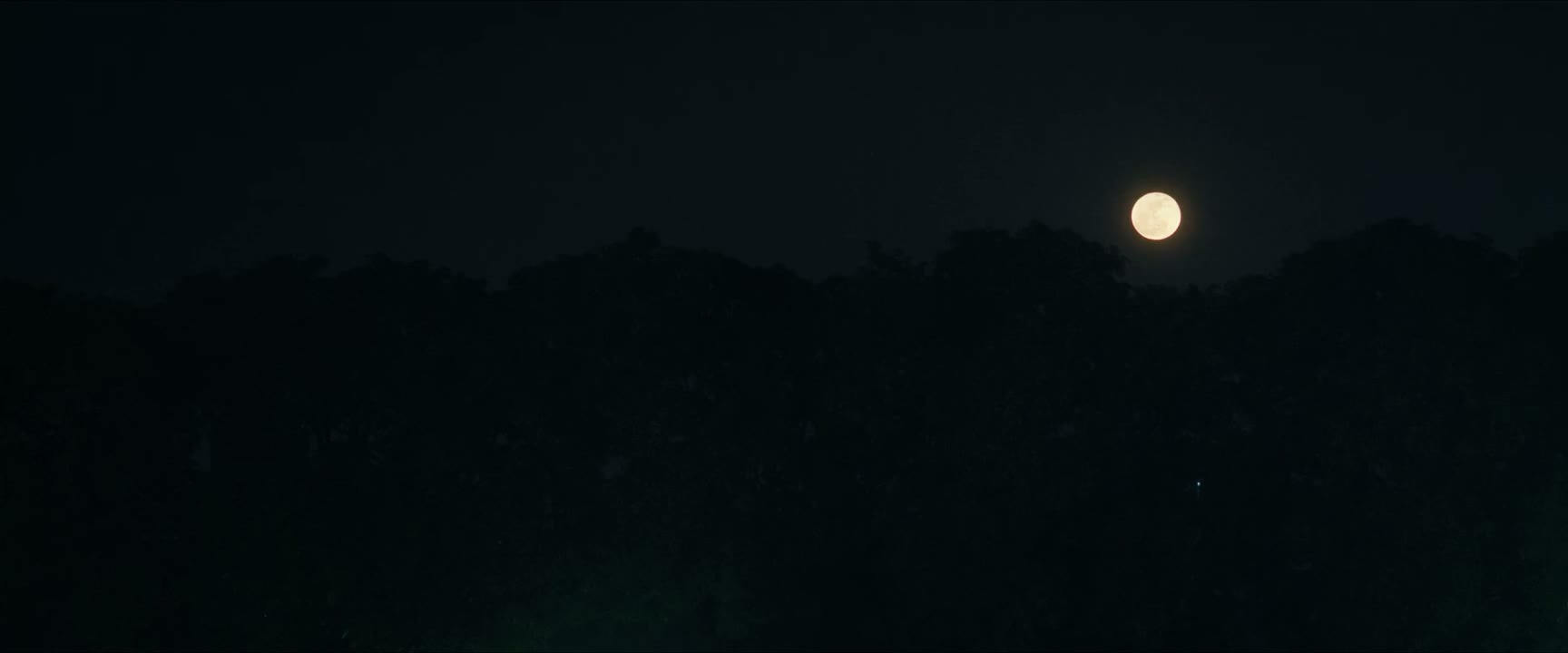 刚刚看错了 还以为那个小灯泡是萤火虫