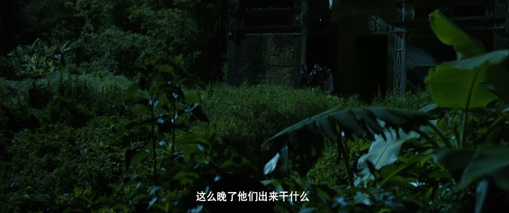 这么晚了他们出来干什么