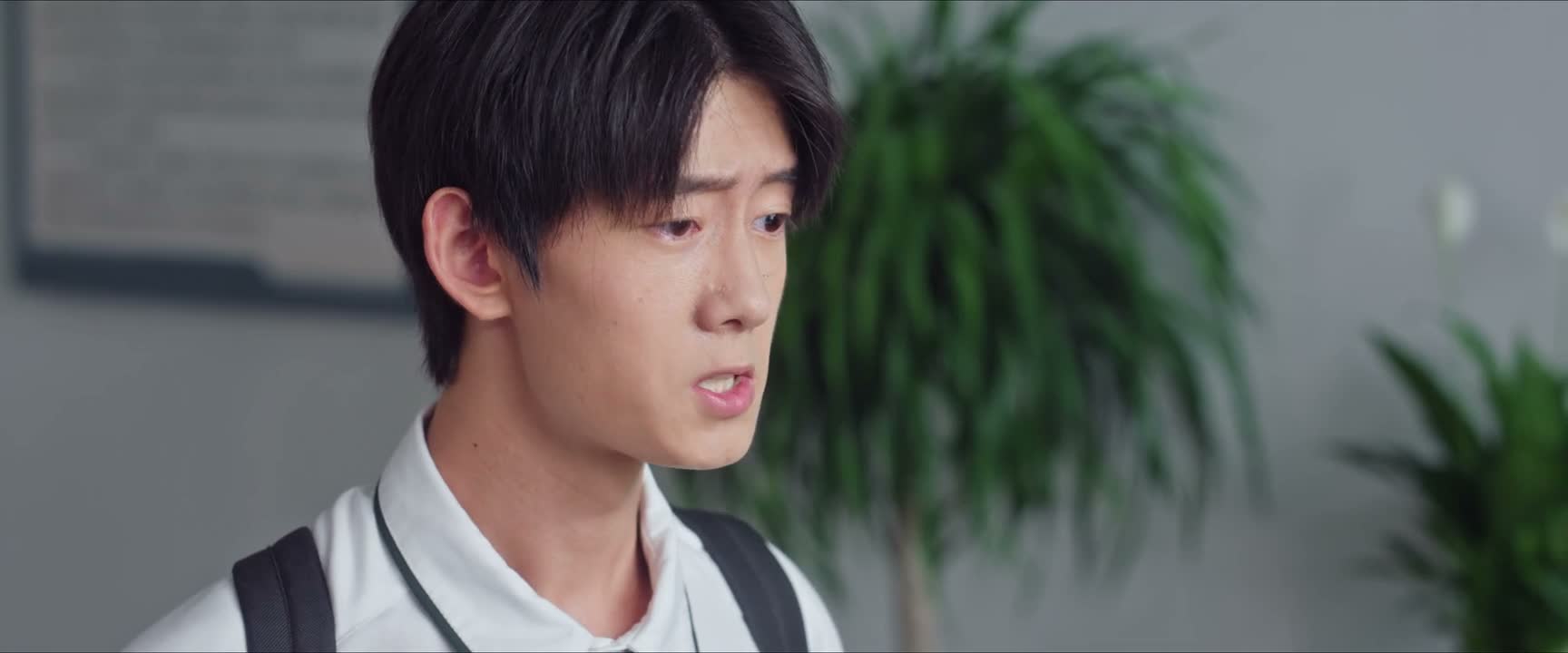 秦敖和林鹿他们没有做错事