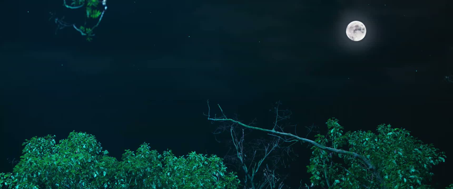 好美的夜晚呀