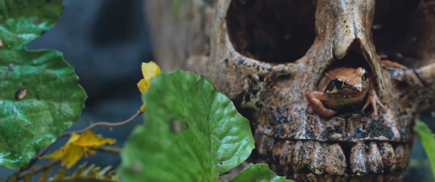 如此草菅人命