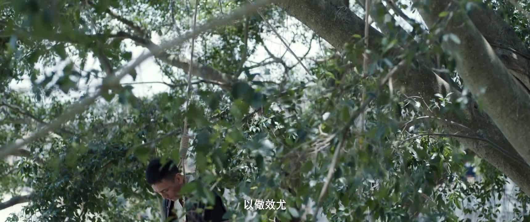 以儆效尤