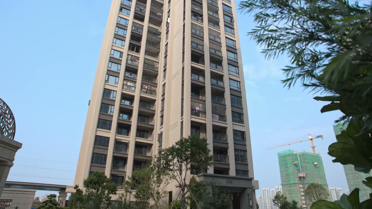 你为什么不争取一下呢