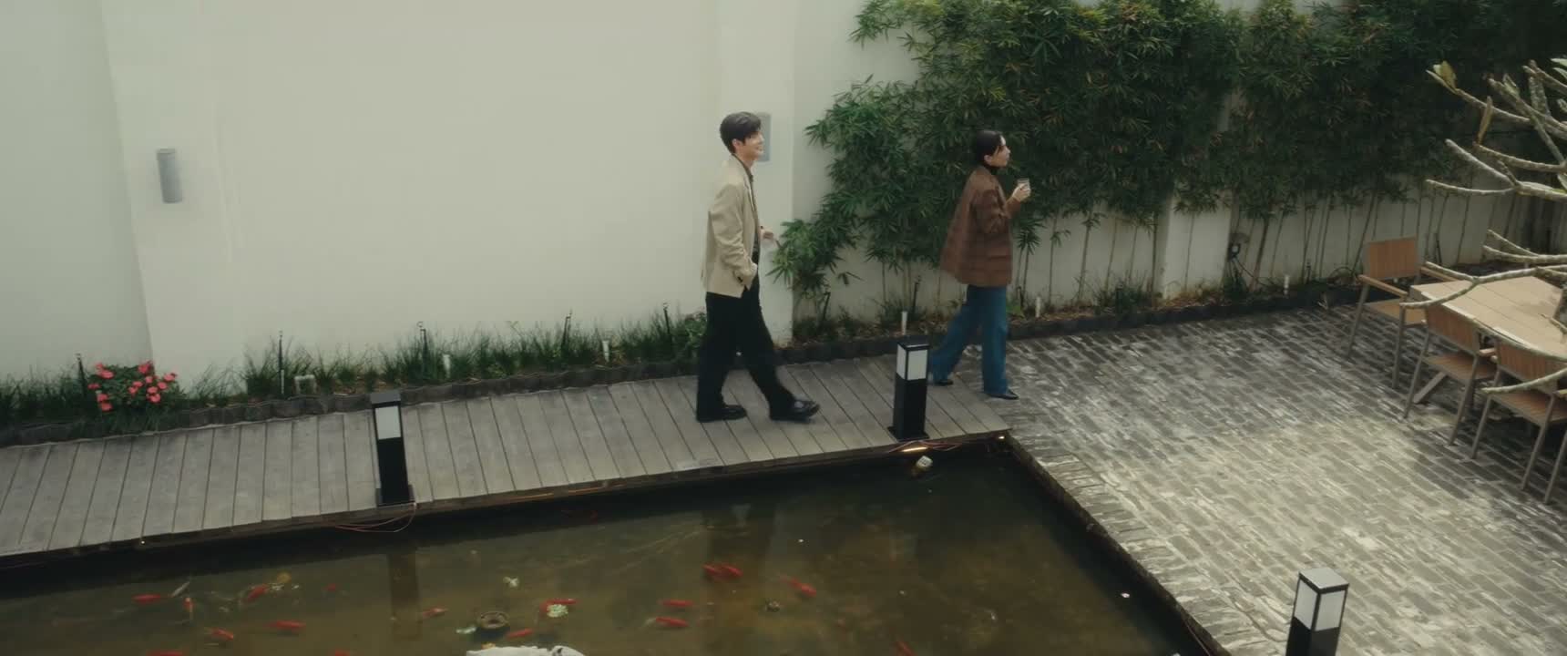 或者是红颜知己