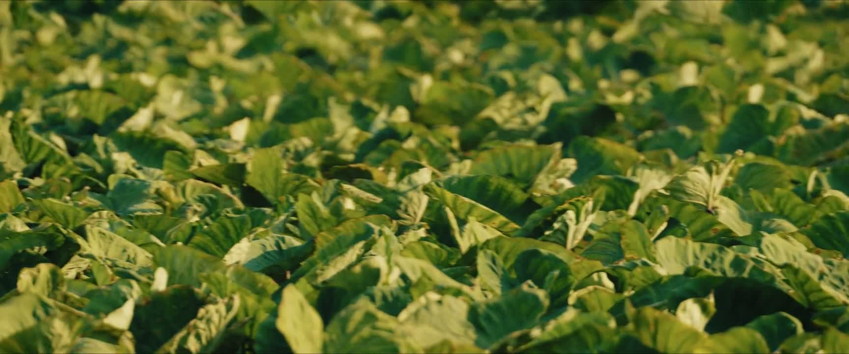 下次就不是警告了