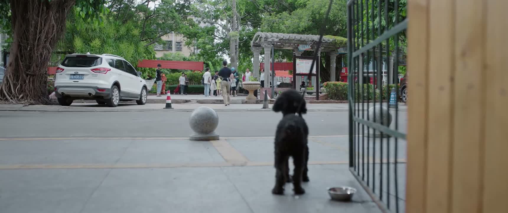 你超时了也不能随便踢人狗啊
