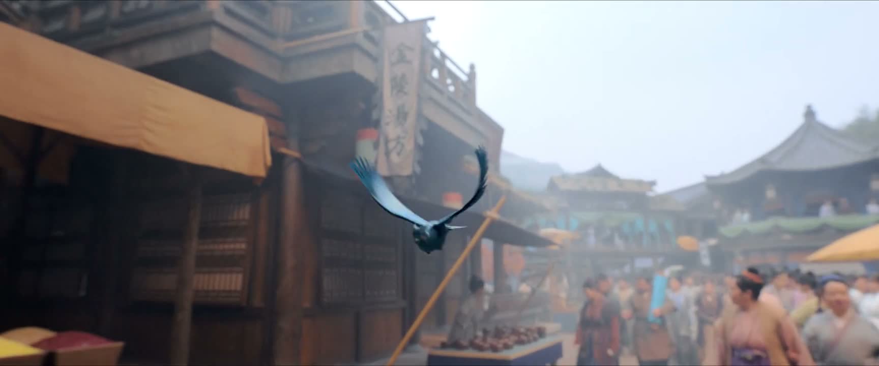 你多次违背仙门规则