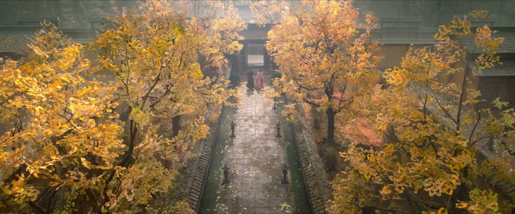 是特意为这事回来的