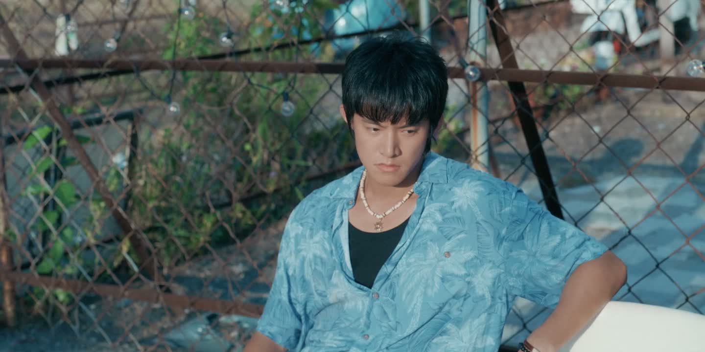 你从小就像个缩着头的乌龟