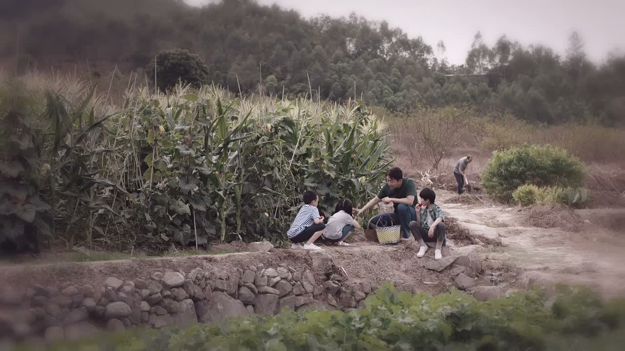 能让地里的氮 老老实实地待着