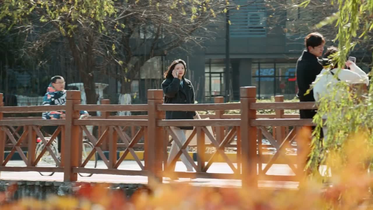 你们所不就在青城法院对面吗