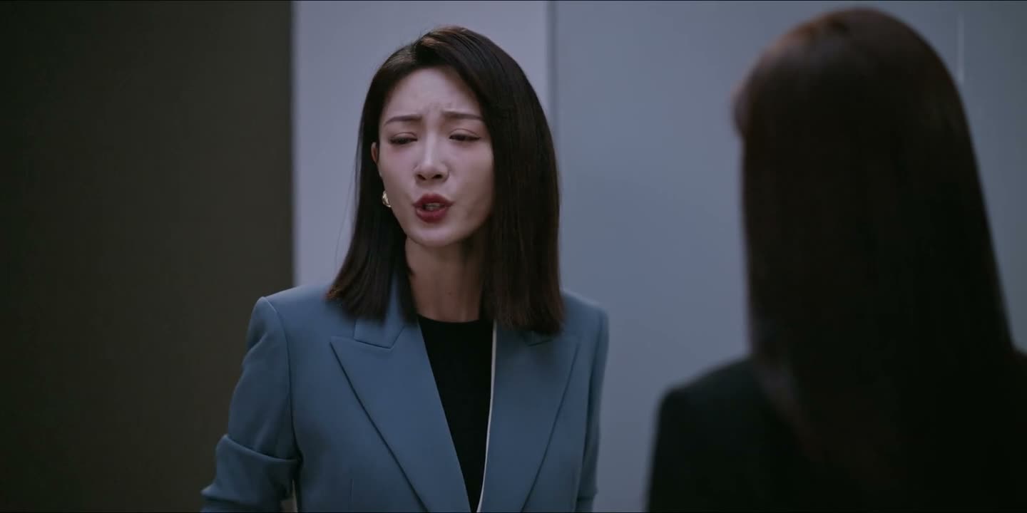 办砸了就是办砸了