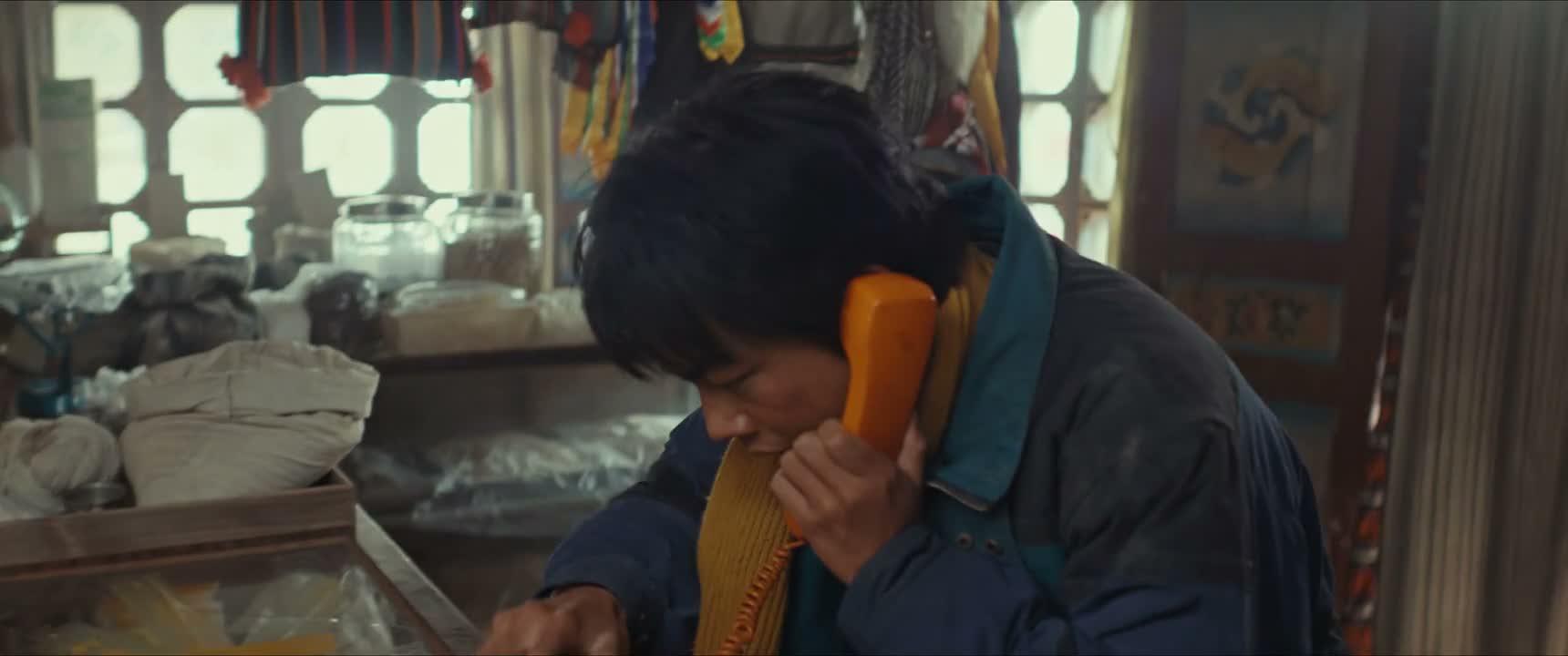 白及 你又去哪里野了