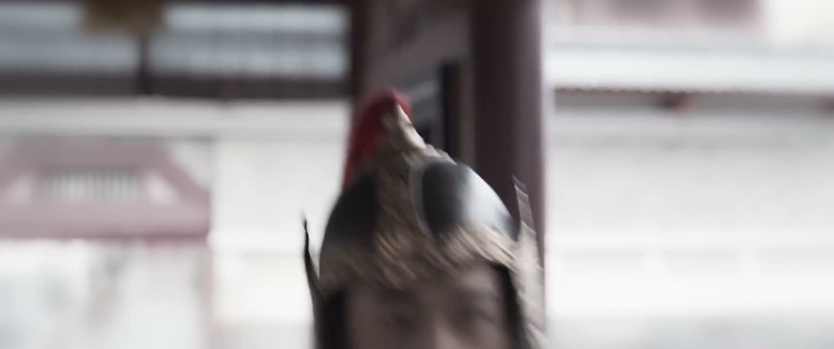 让公公我来心疼你