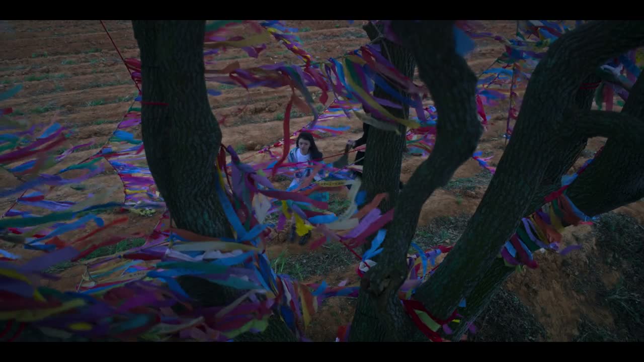 每隔一段时间就会来这边静一静