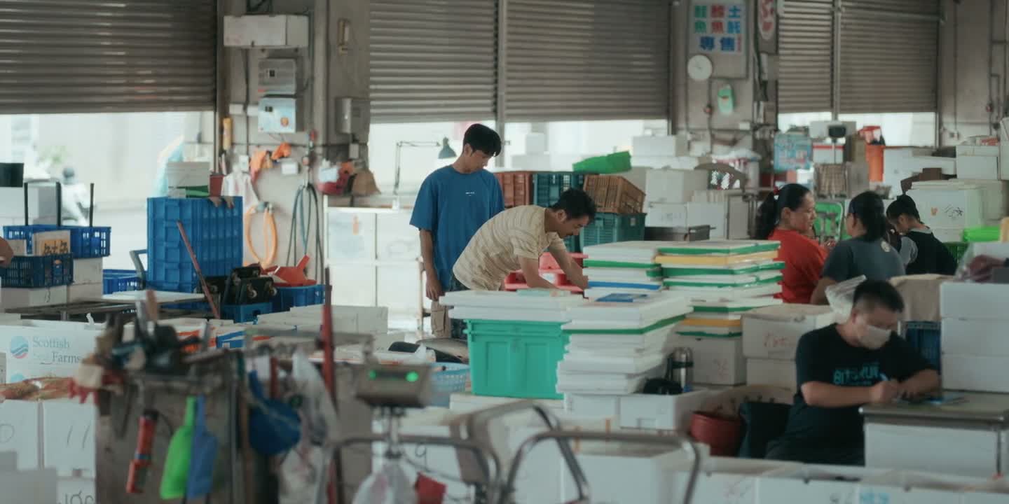 像这一只 你看看