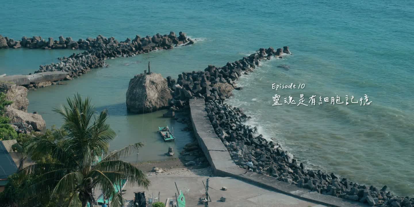 这应该就是流星许愿的后果吧