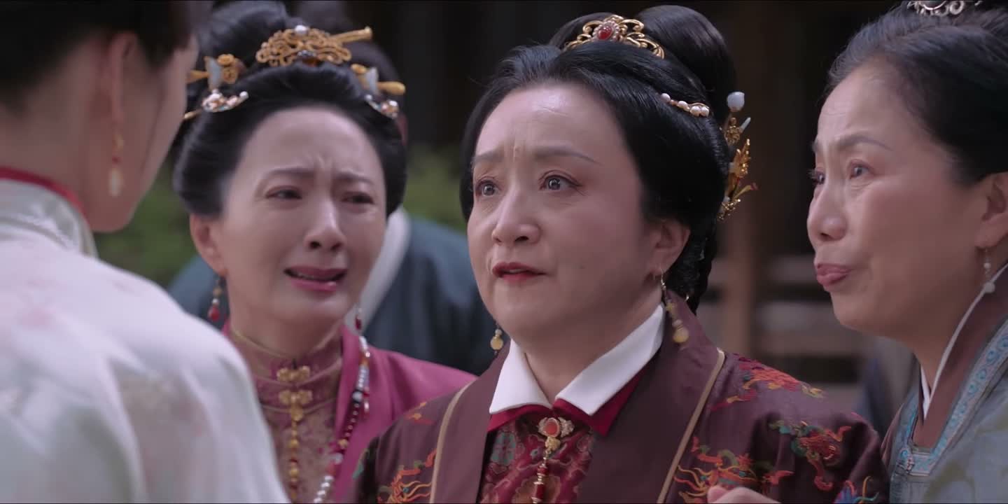 我们阖府的男丁 都被带走了