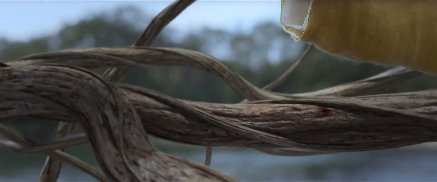 生灵赐我以精魂