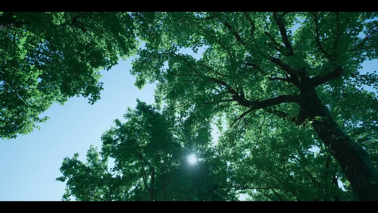 杰哥 今天的任务是什么啊?